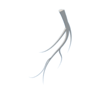 download {{ file.name }}