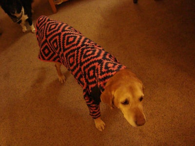 Try on to Check, Then Sew on Velcro. 