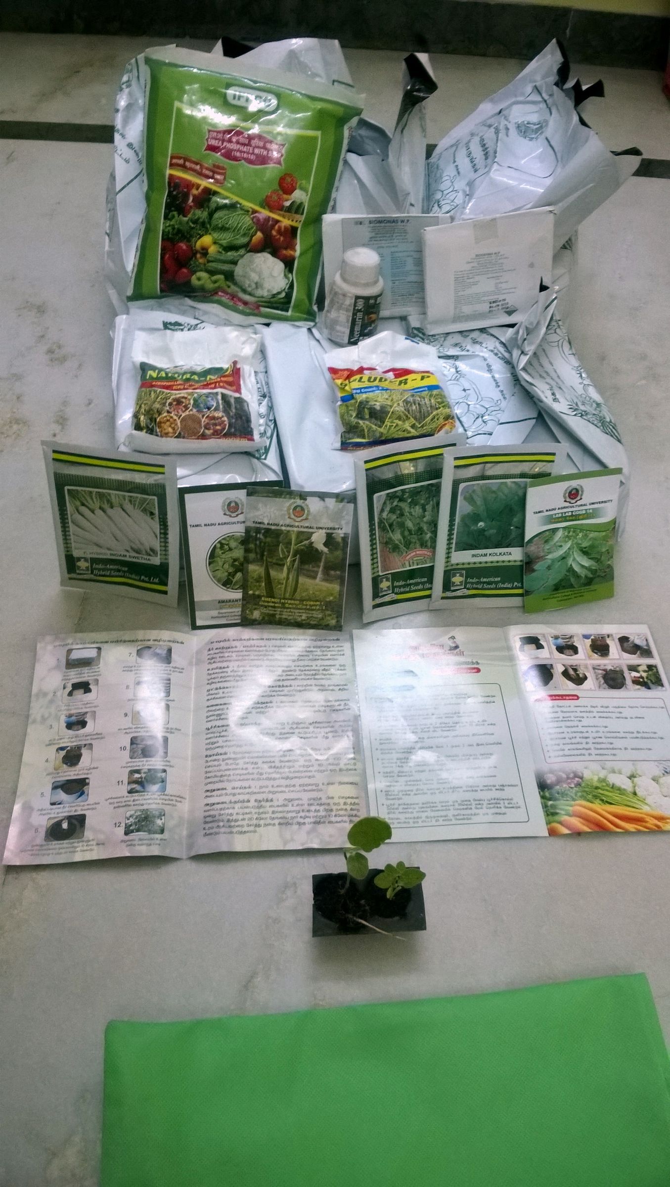 Terrace Garden From DIY Roof Top Kit 4 Steps (with Pictures