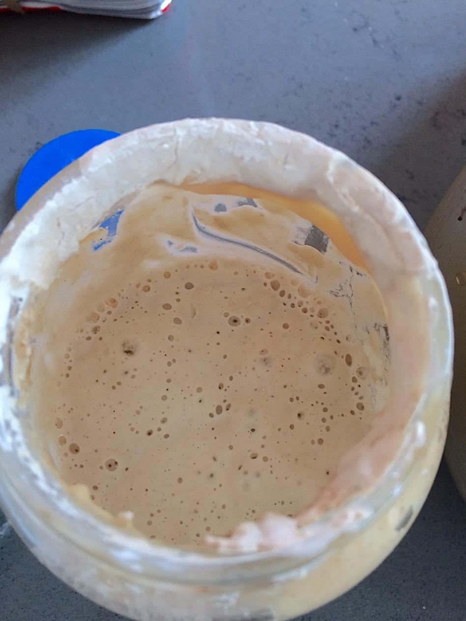 Using Your Bread Machine & the Settings