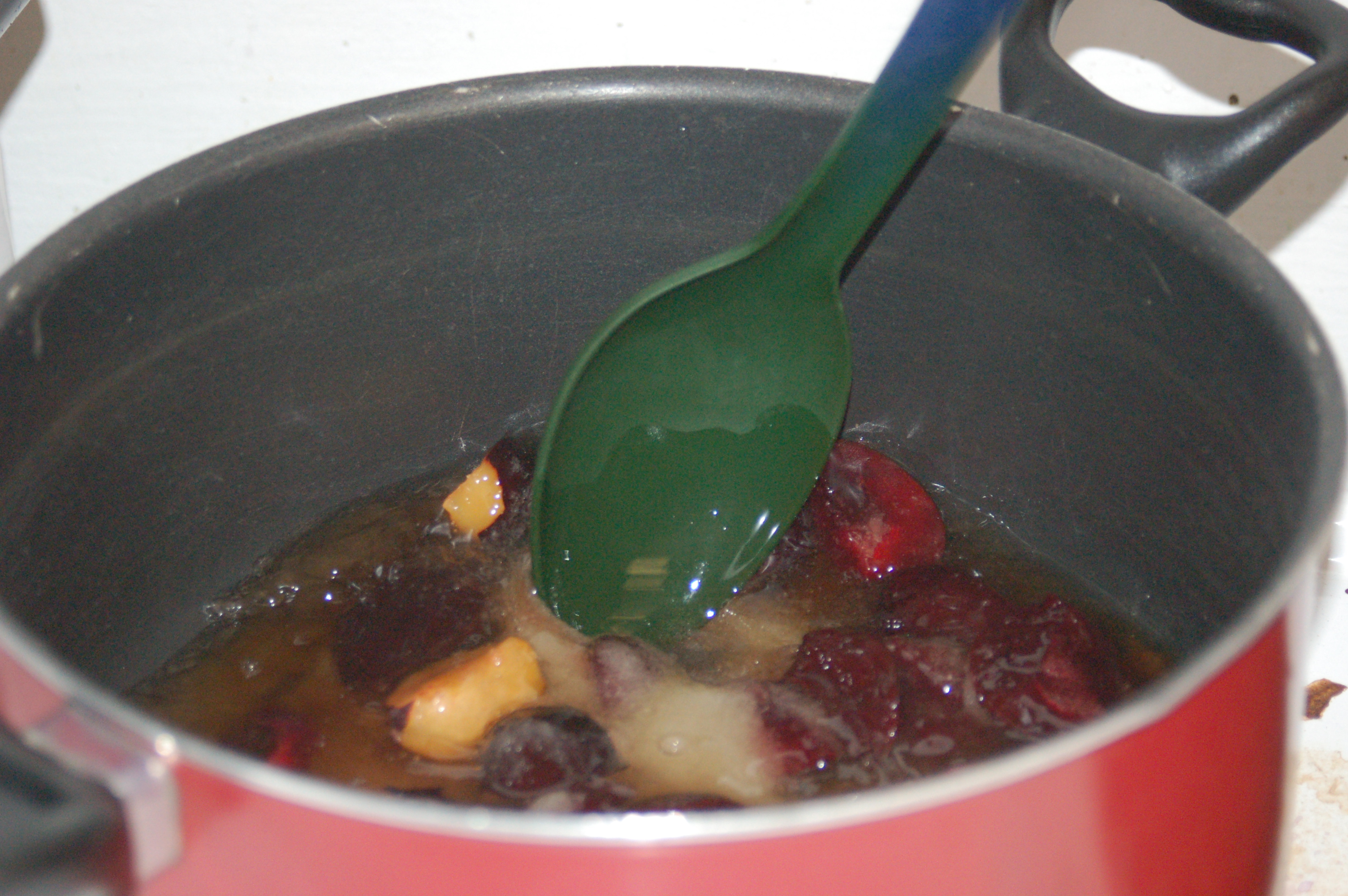 Plum Good Syrup 4 Steps (with Pictures) Instructables