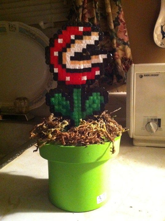 How to Make a Piranha Plant With a Tube
