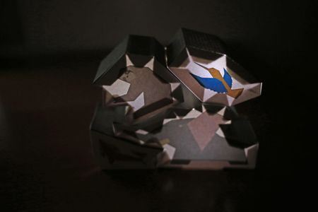 LED Animal Balancing Blocks