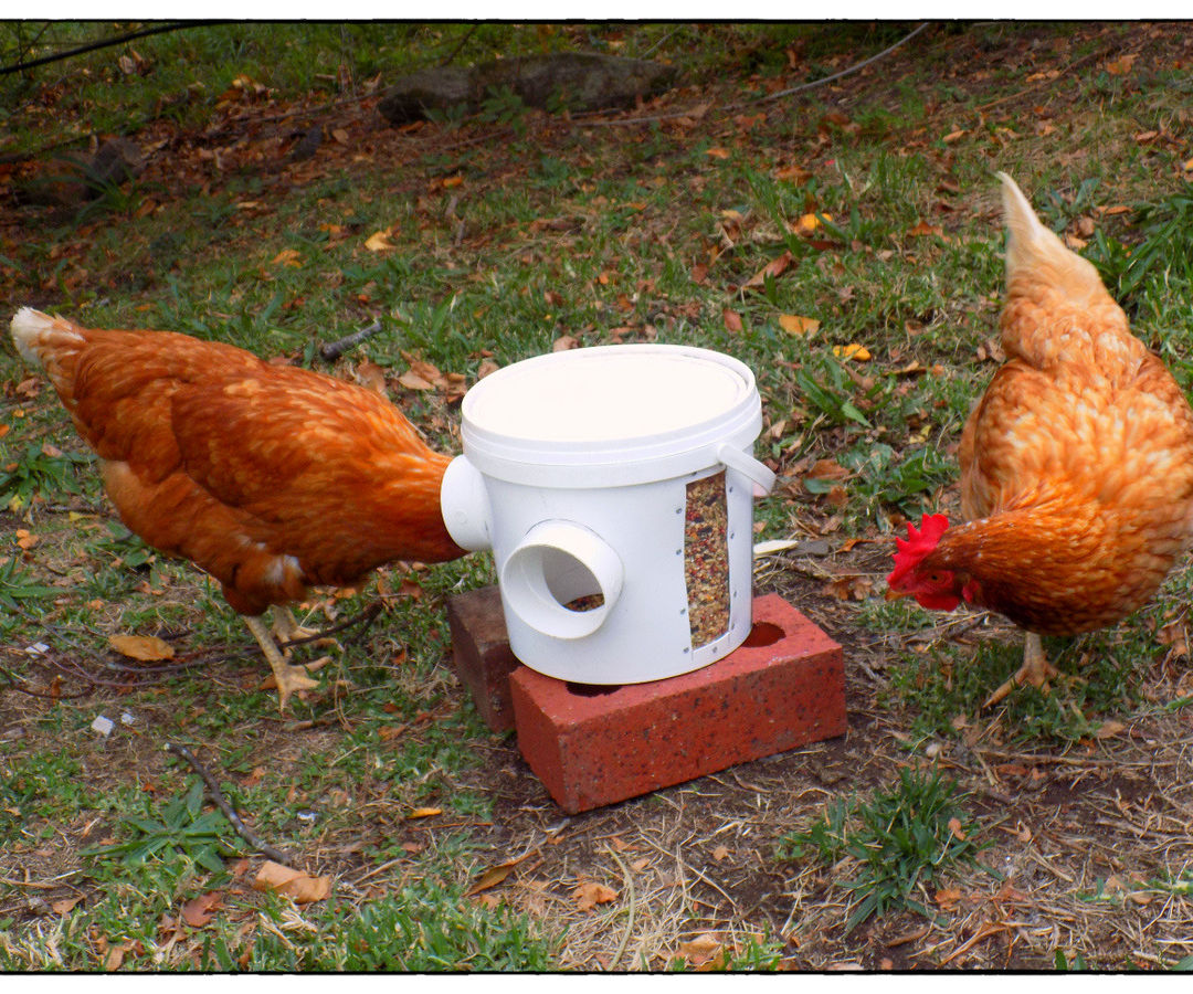 Super Simple Chicken Feeder