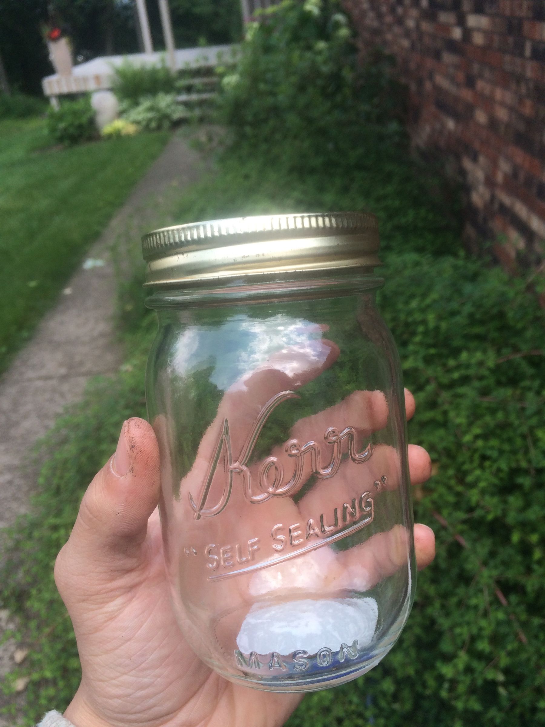 Birch Bark Resin Bug Repellent 4 Steps (with Pictures) Instructables