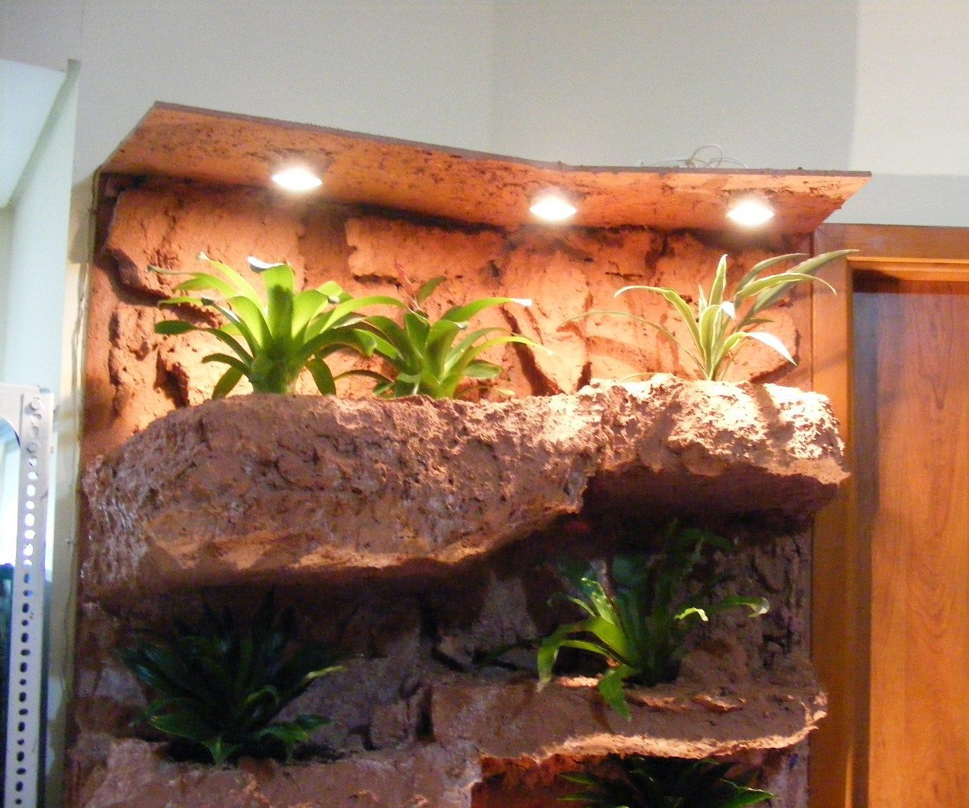 Rock Wall 