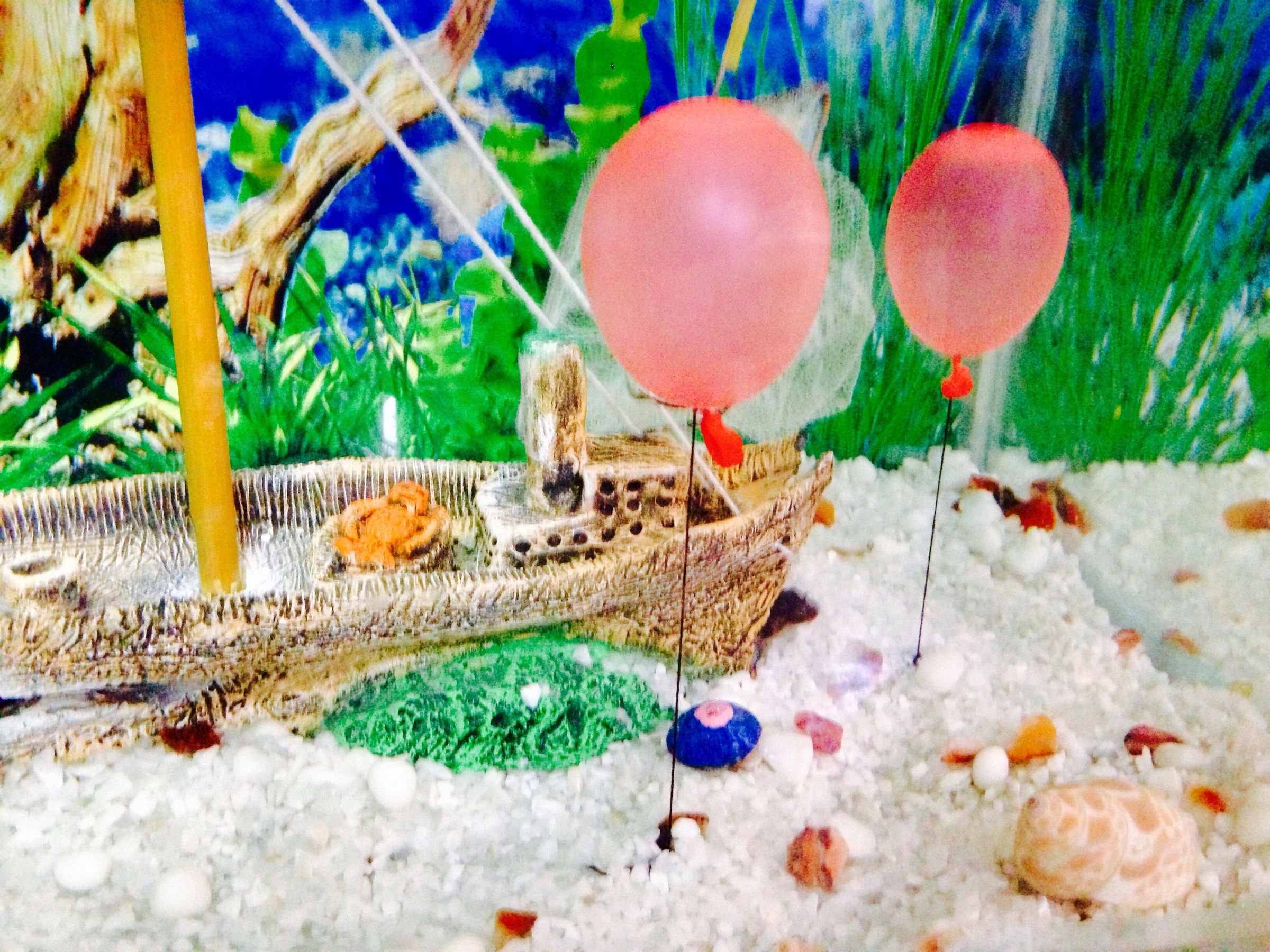 D.I.Y. Aquarium Underwater Balloons