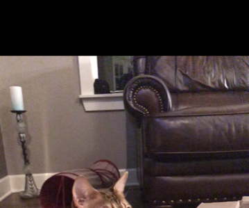 How to Edit a Photograph