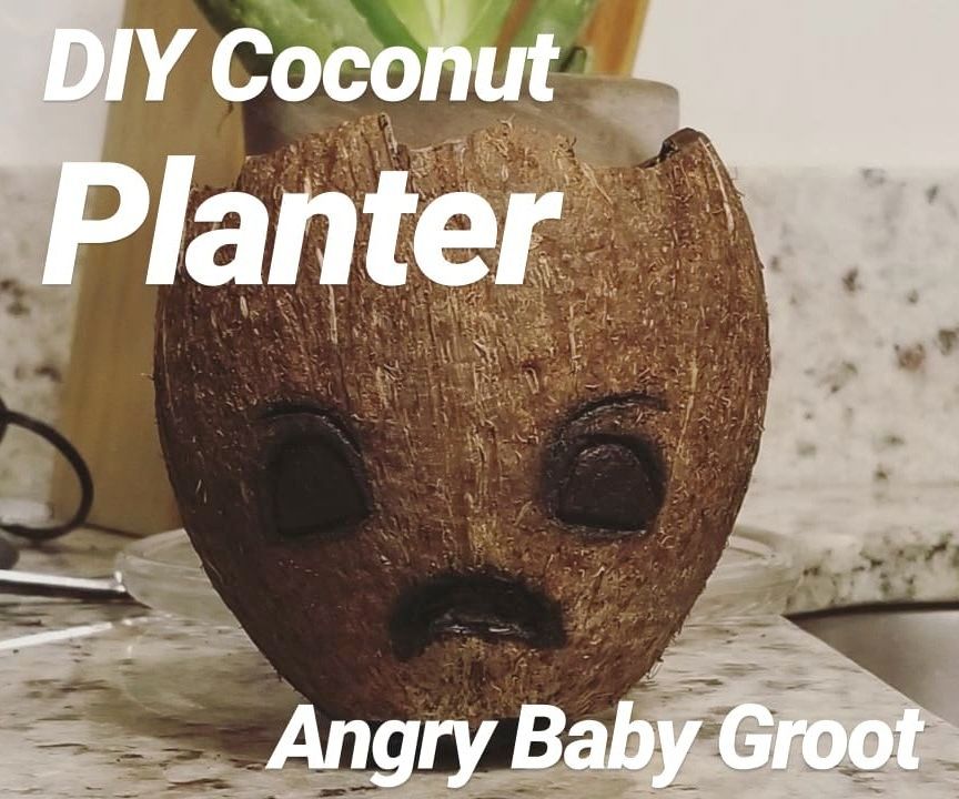 Adorable Baby Groot Planter With a Coconut!
