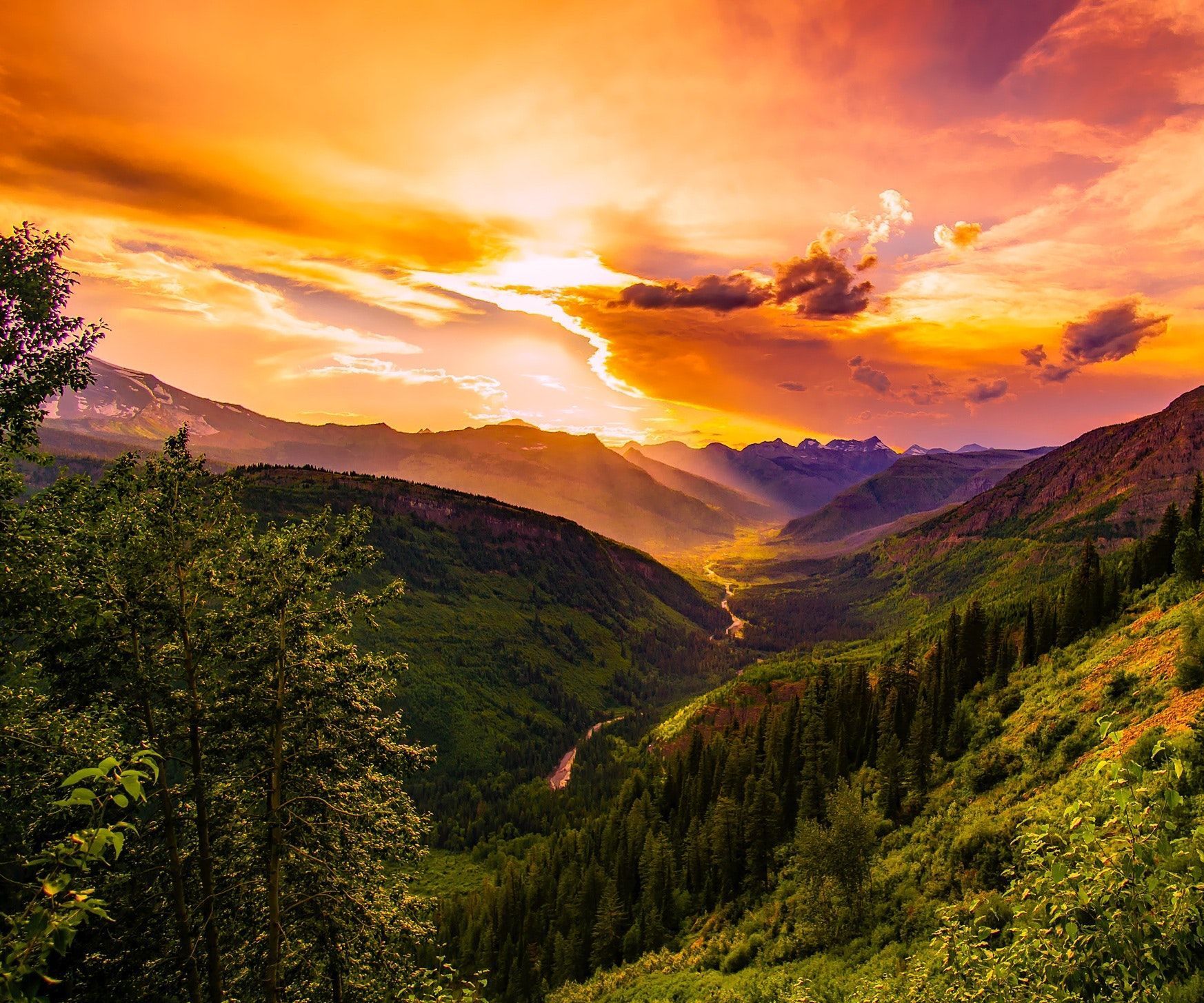 Program an SMS Bot Using Python and Twilio