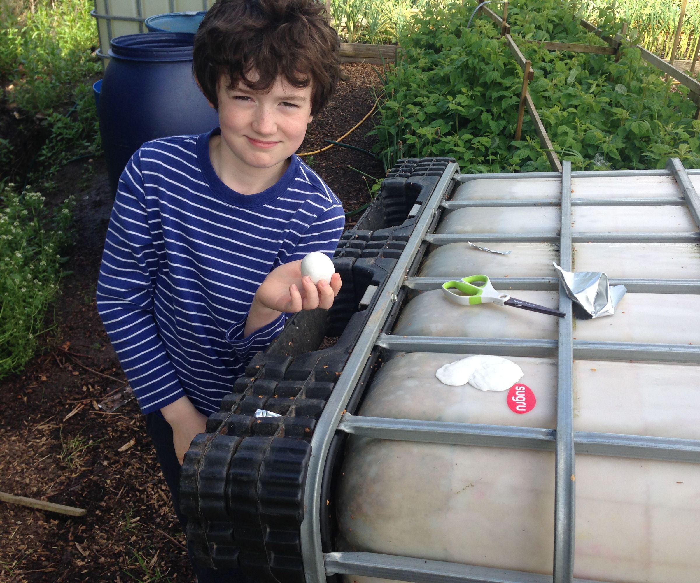 Repair Cracked IBC With SUGRU