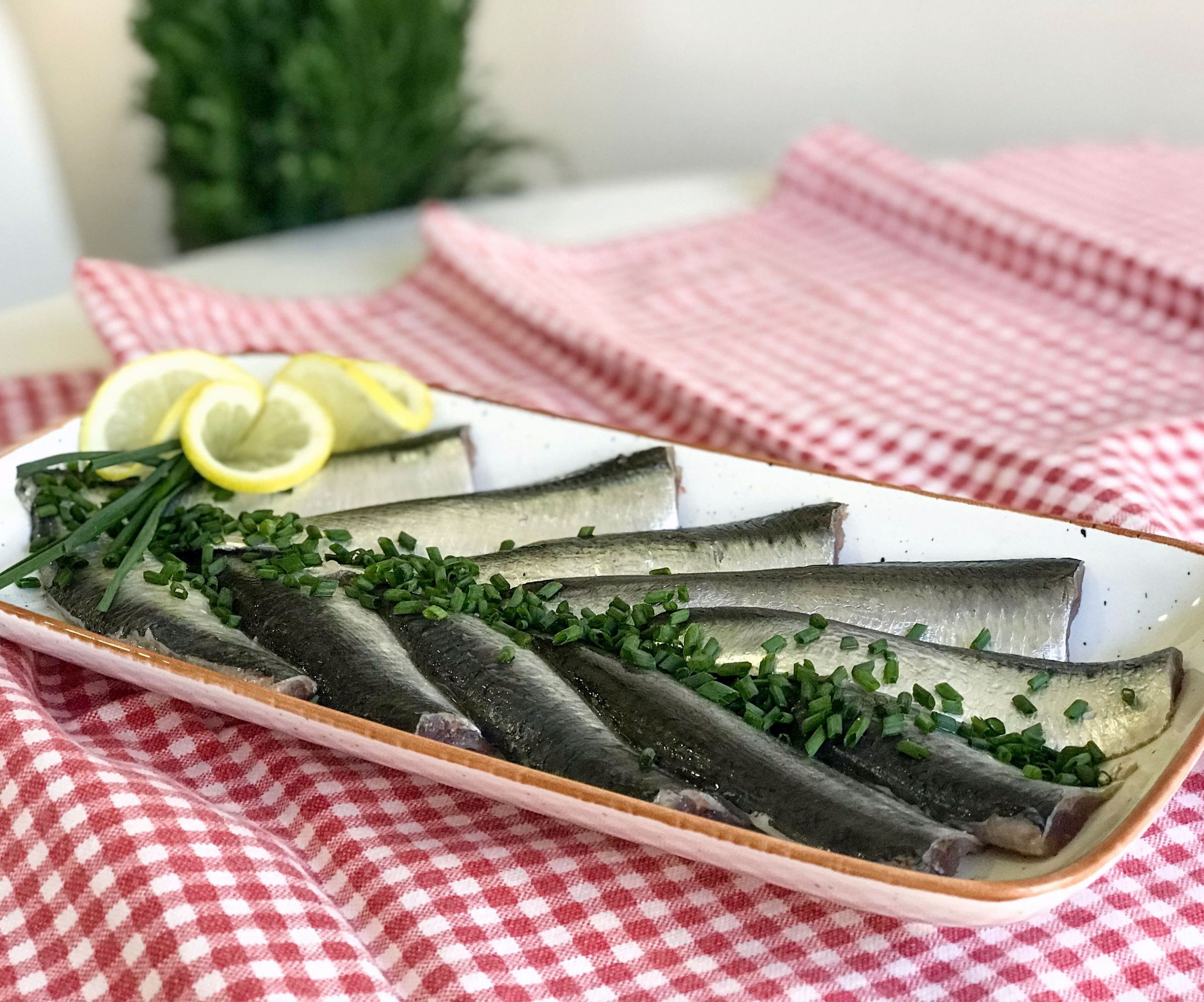 Lightly Salted Sardines