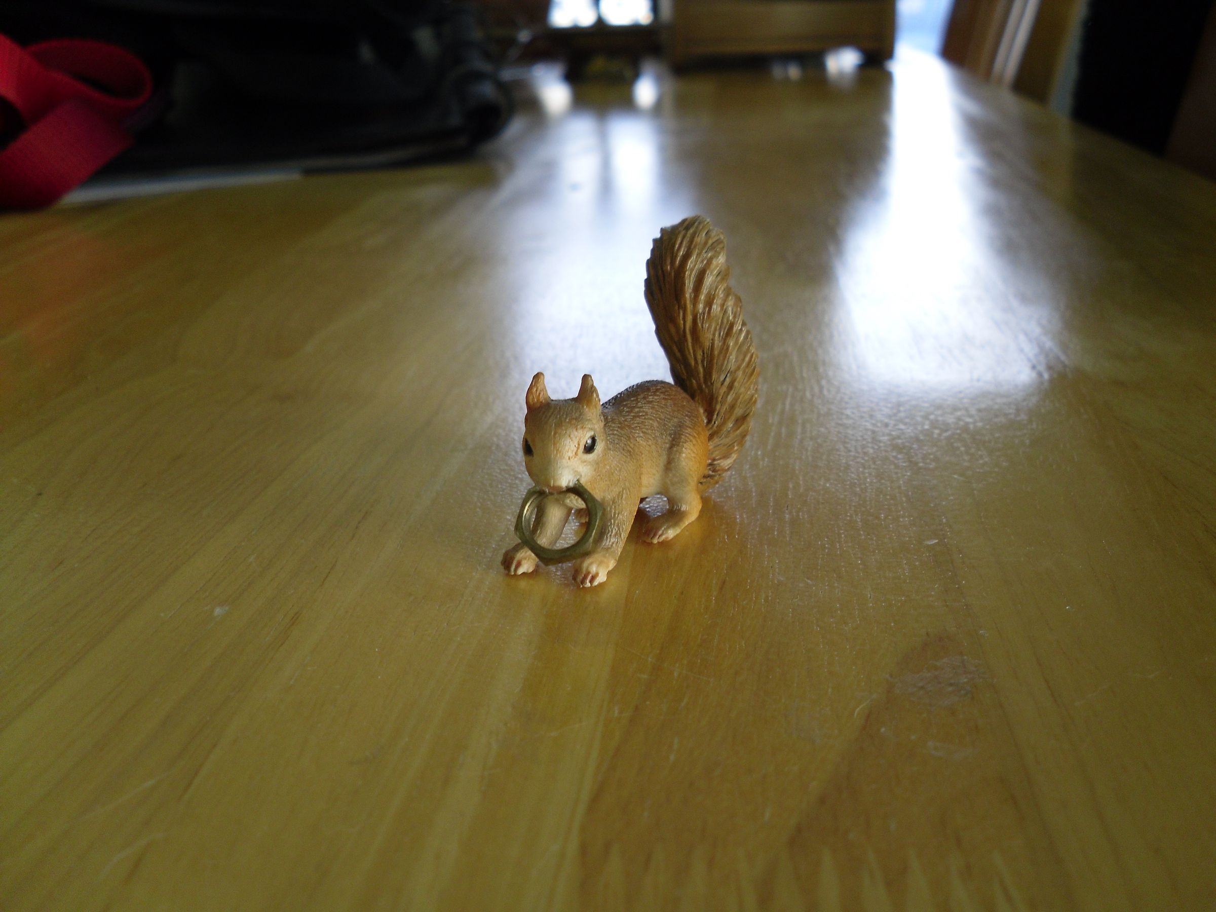Misguided Squirrel