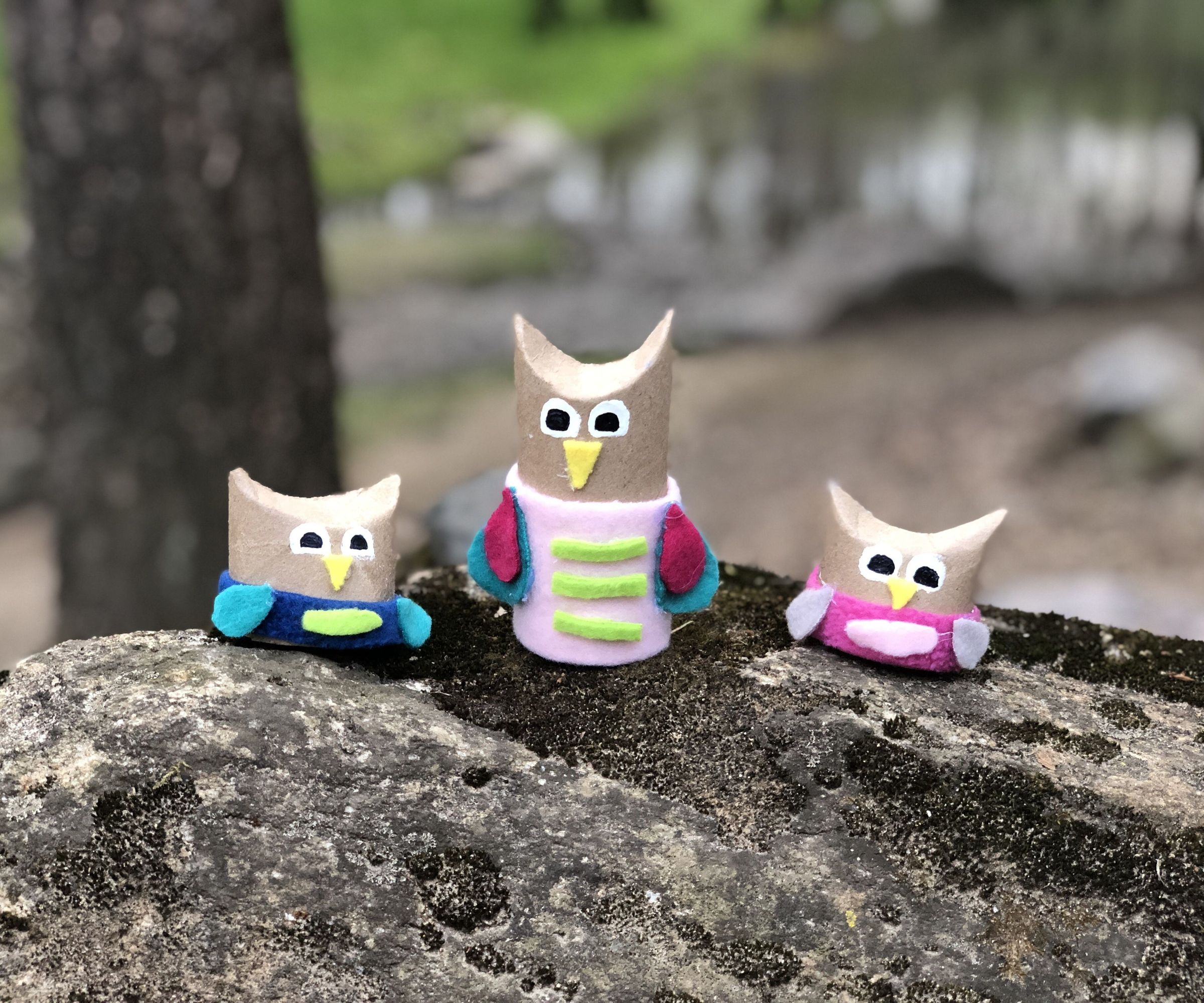 Recycled Cardboard Tube Owls