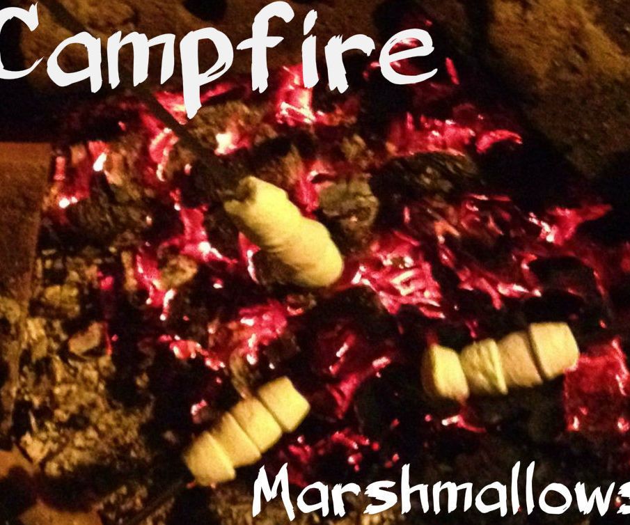 Roasty Toasty Marshmallows