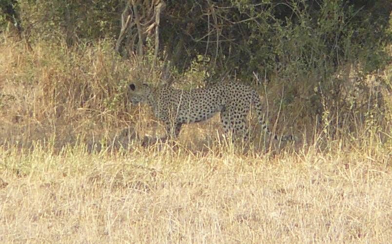 How to Shoot an Image You Can't See