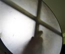 Make a Goatskin Bodhrán Frame Drum