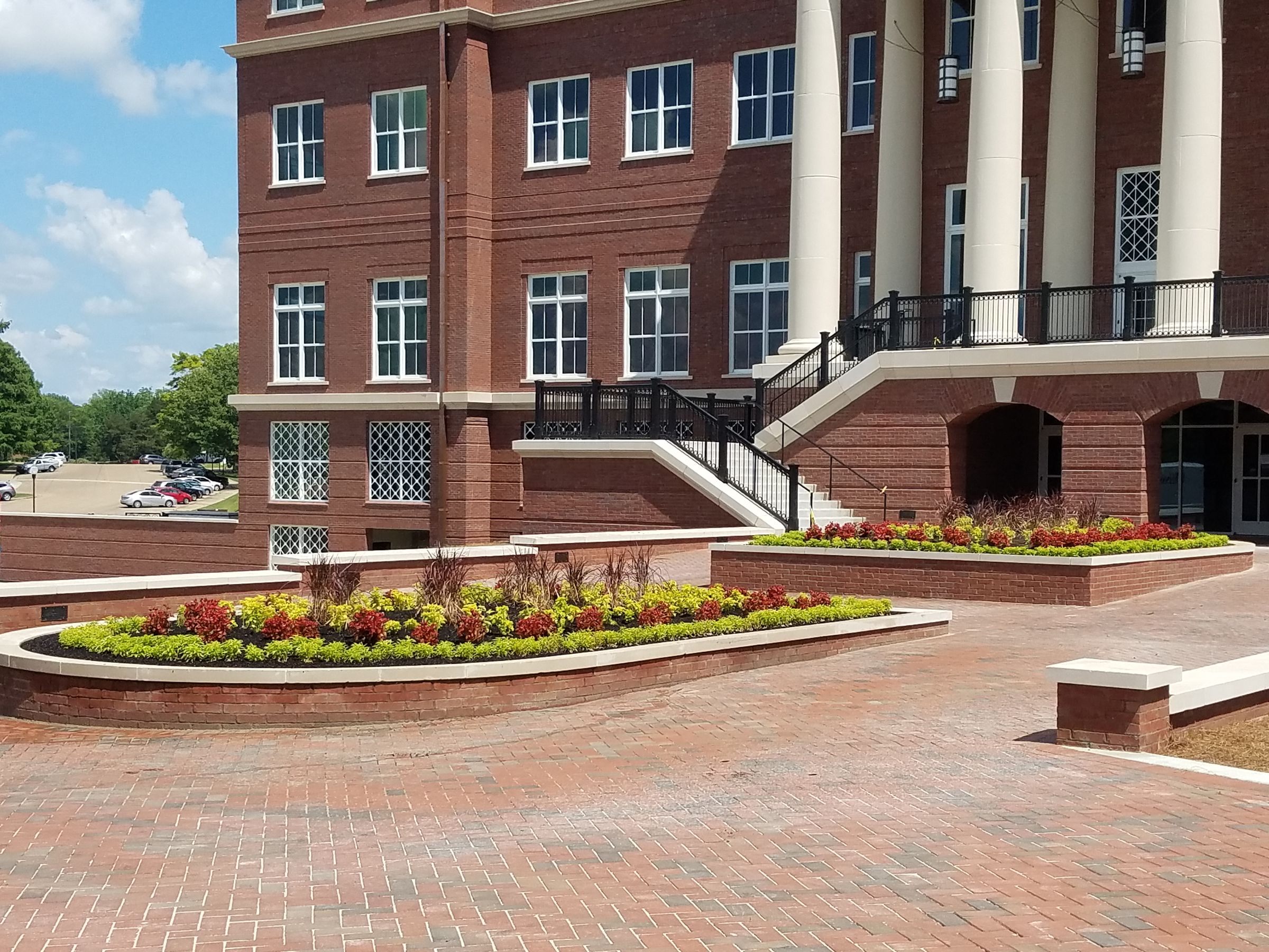 Planting Annual Flowers in Beds