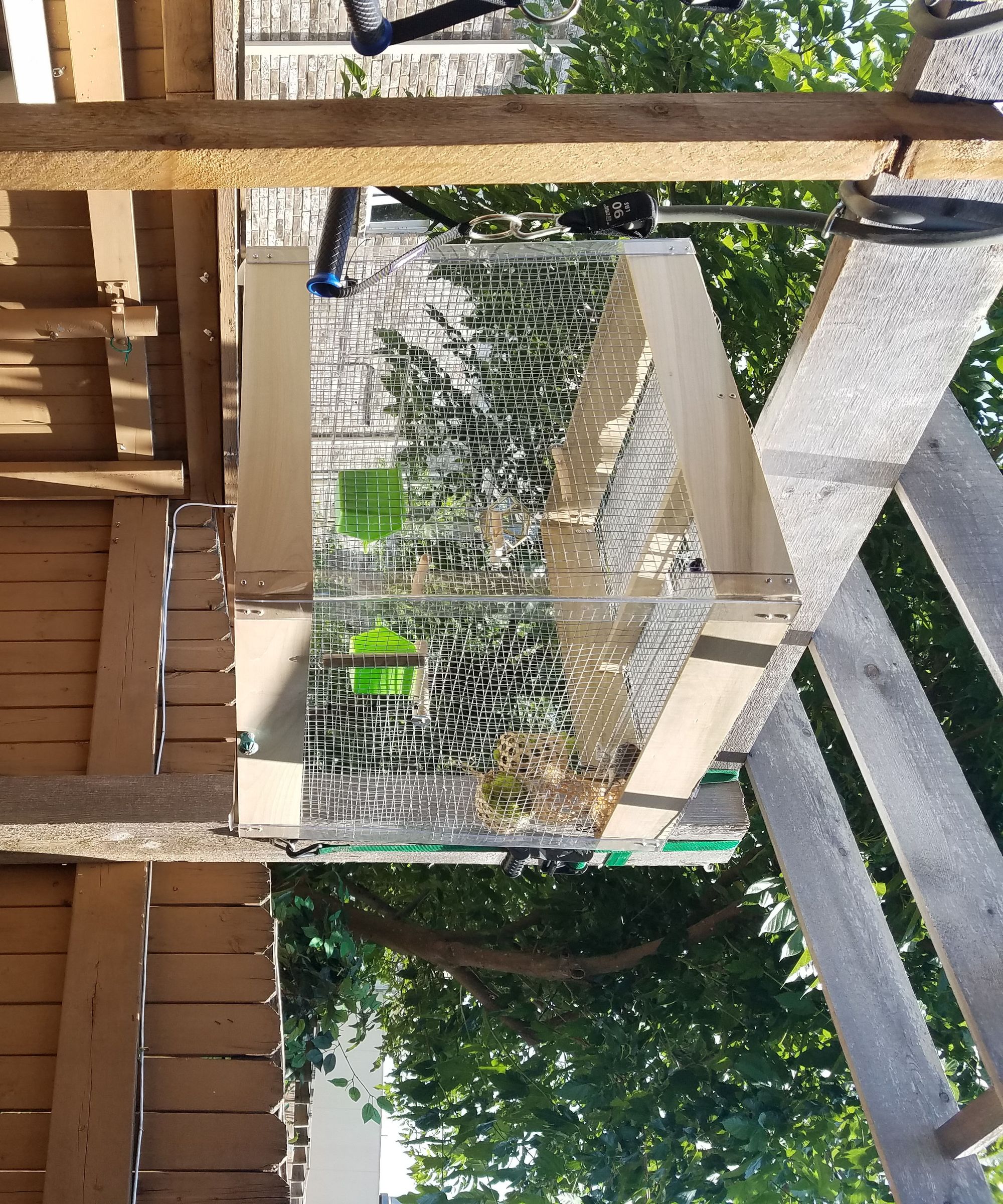 Plexiglass Bird Cage