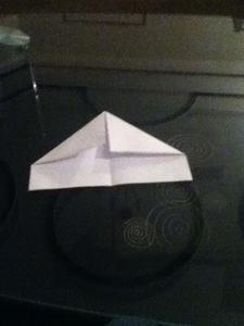 Fold the Paper in Half Like This.