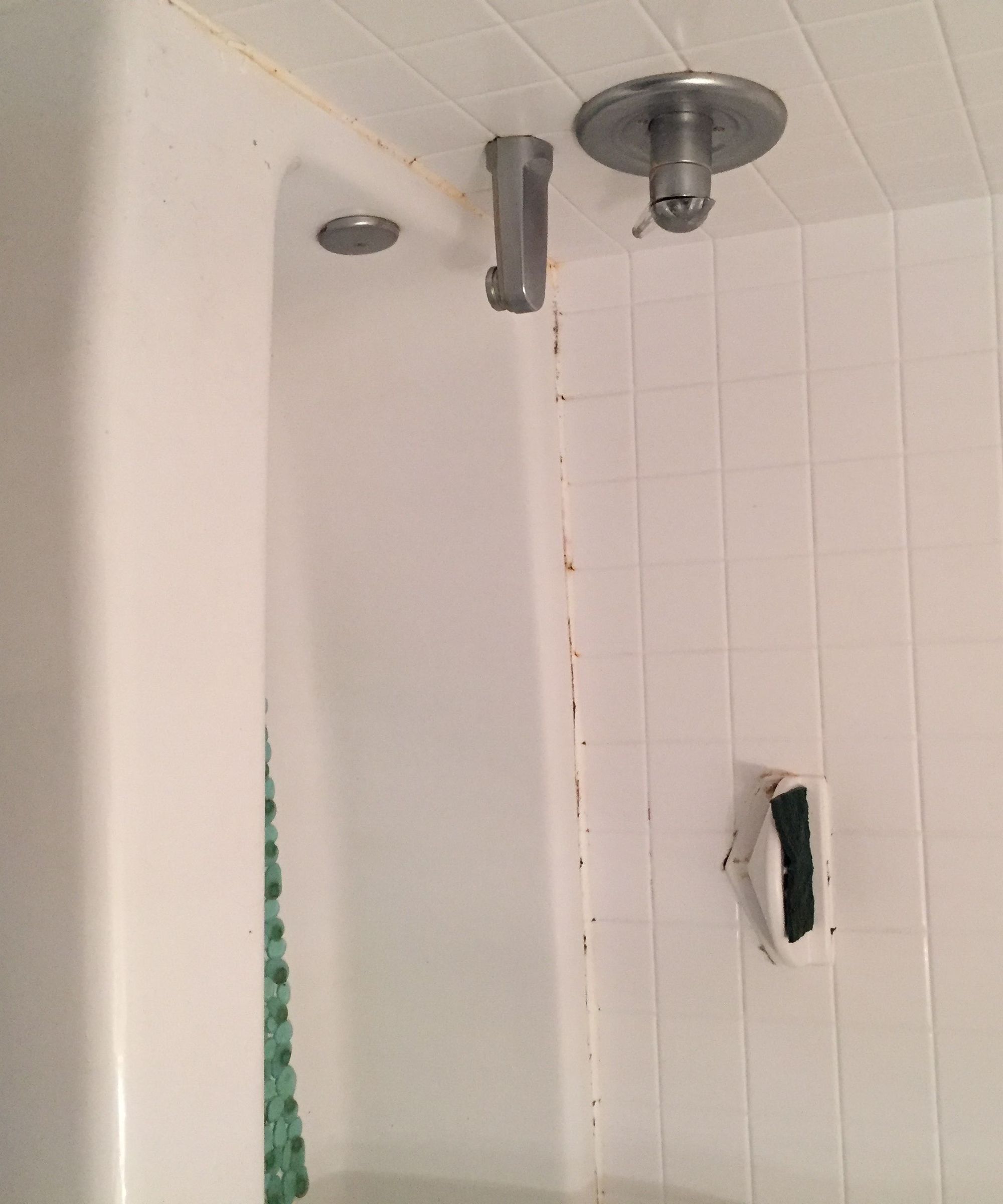 A Filthy Guide to Recaulking Your Filthy Bathtub