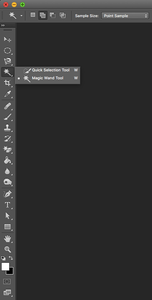 Select the Magic Wand Tool on the Vertical Toolbar