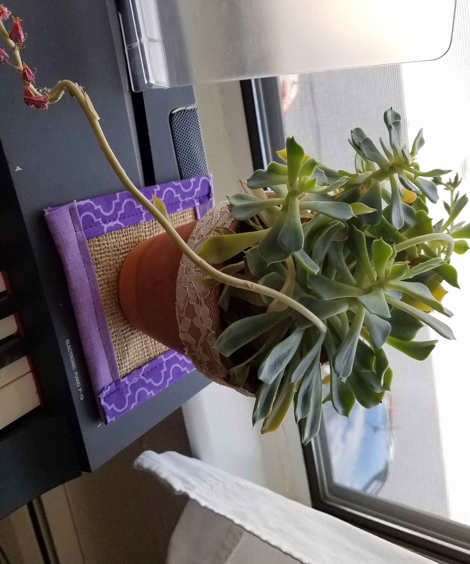 Fabric Plant Coasters