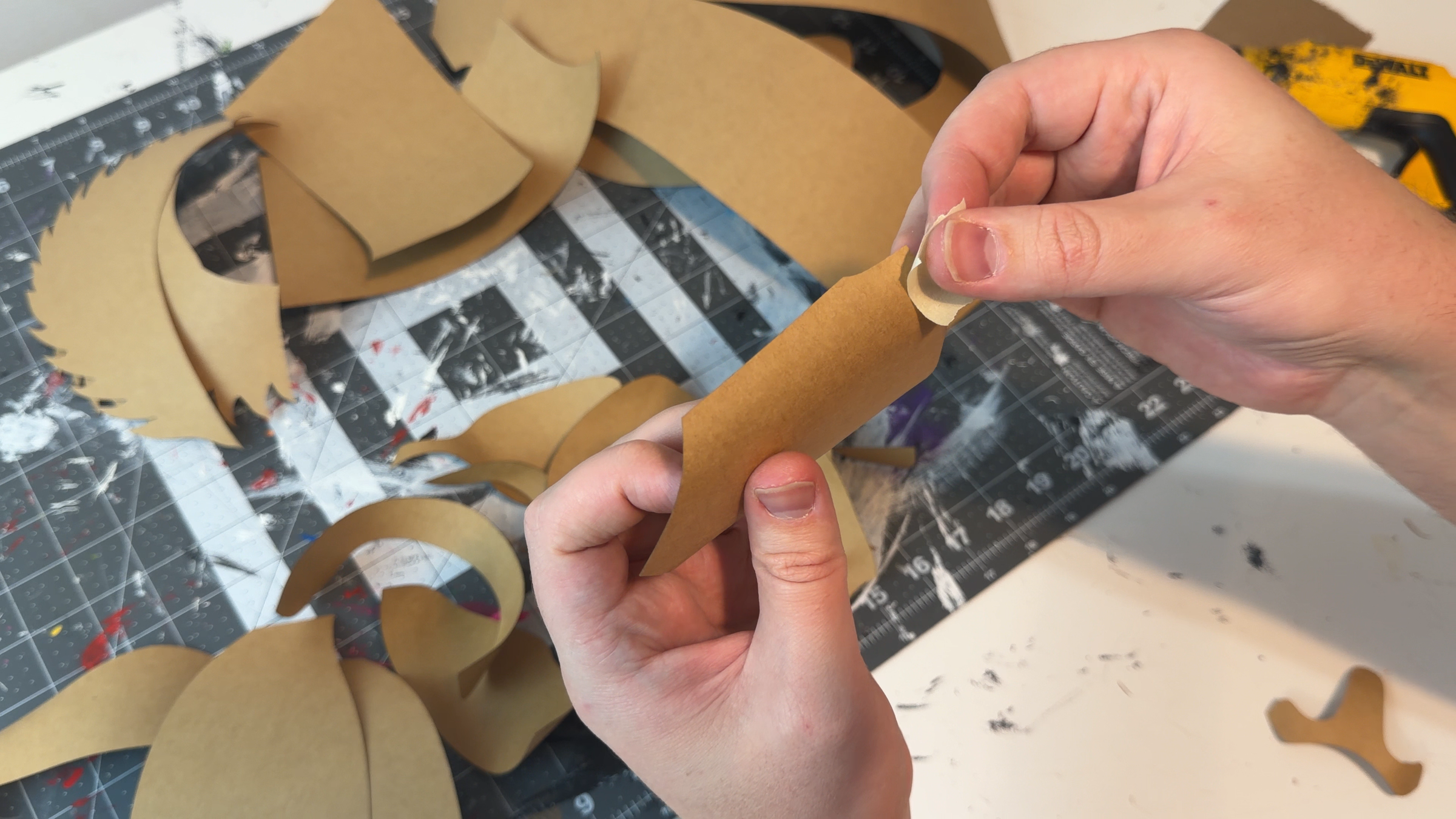 Mask Assembly