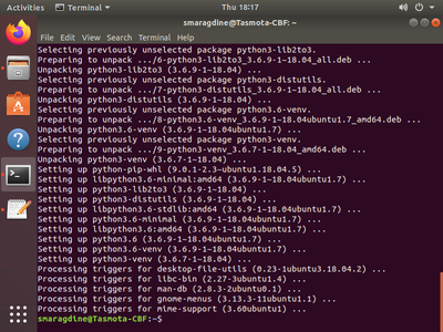 Installation of Esptool, Access GIT Repo, and Test Build.