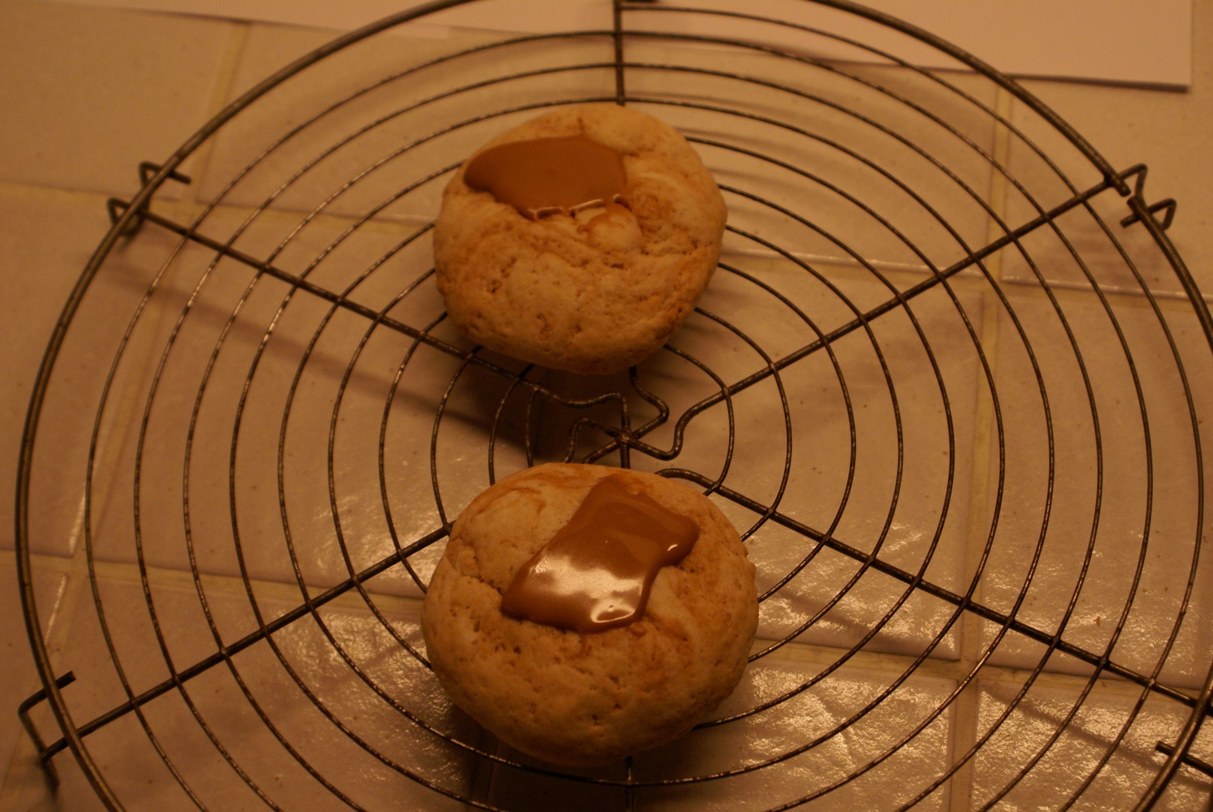 Speculaas-cookies (a.k.a. Dutch Spice Cookies)