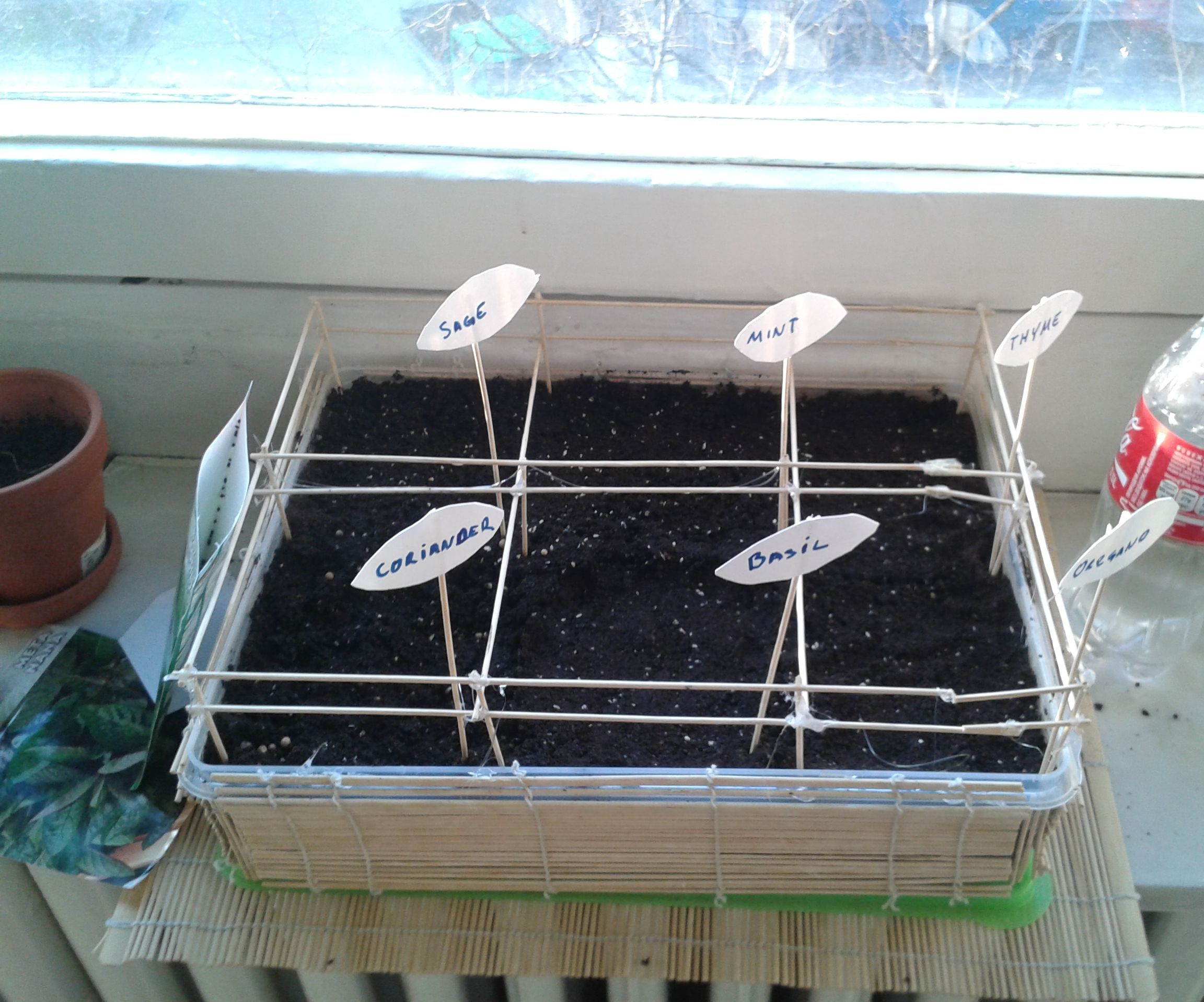 Indoor Spices Garden