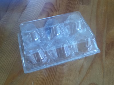 Mini Greenhouse With Plastic Egg Carton