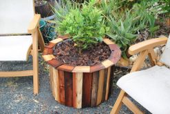 Stylish and Low Cost 55 Gallon Drum Planters : 15 Steps (with Pictures) -  Instructables