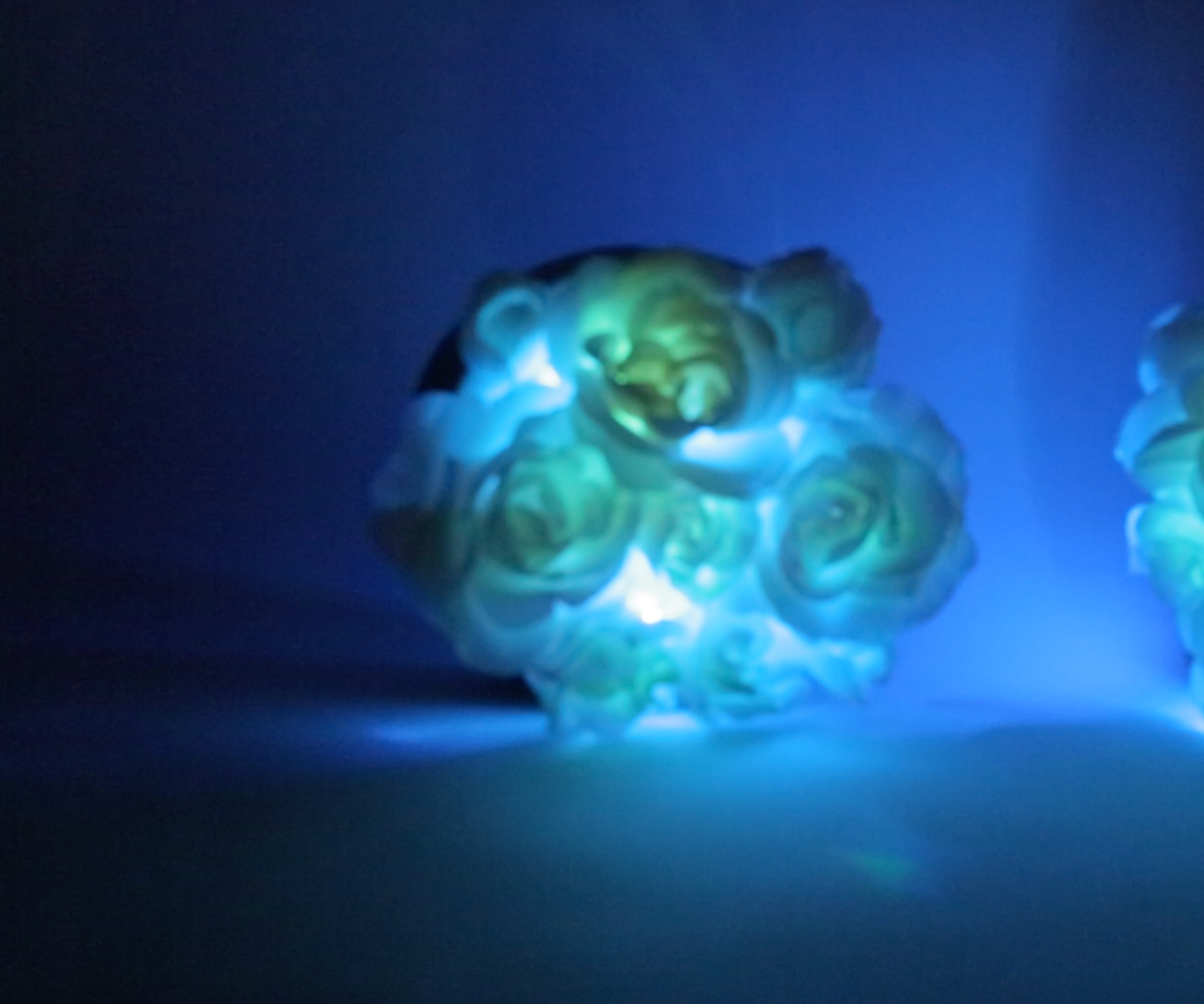 Bloomie-The Interactive Flowers