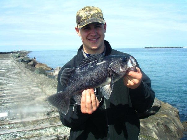 How to Fish for Science and Tag Rockfish