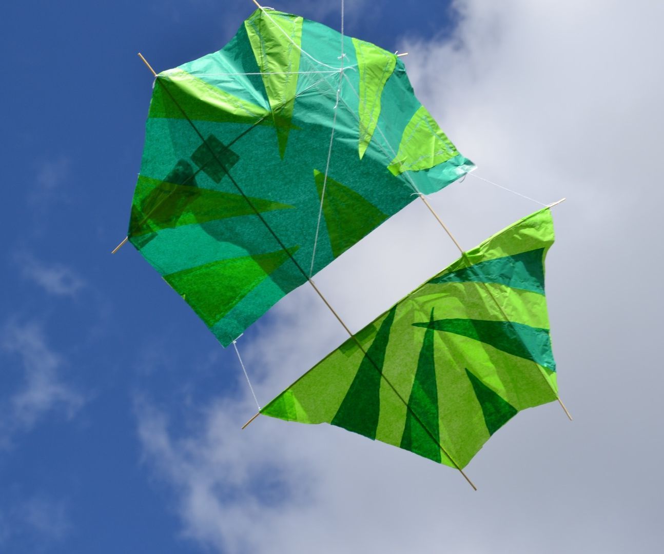 Dopero Kite by Luke and Amadalla