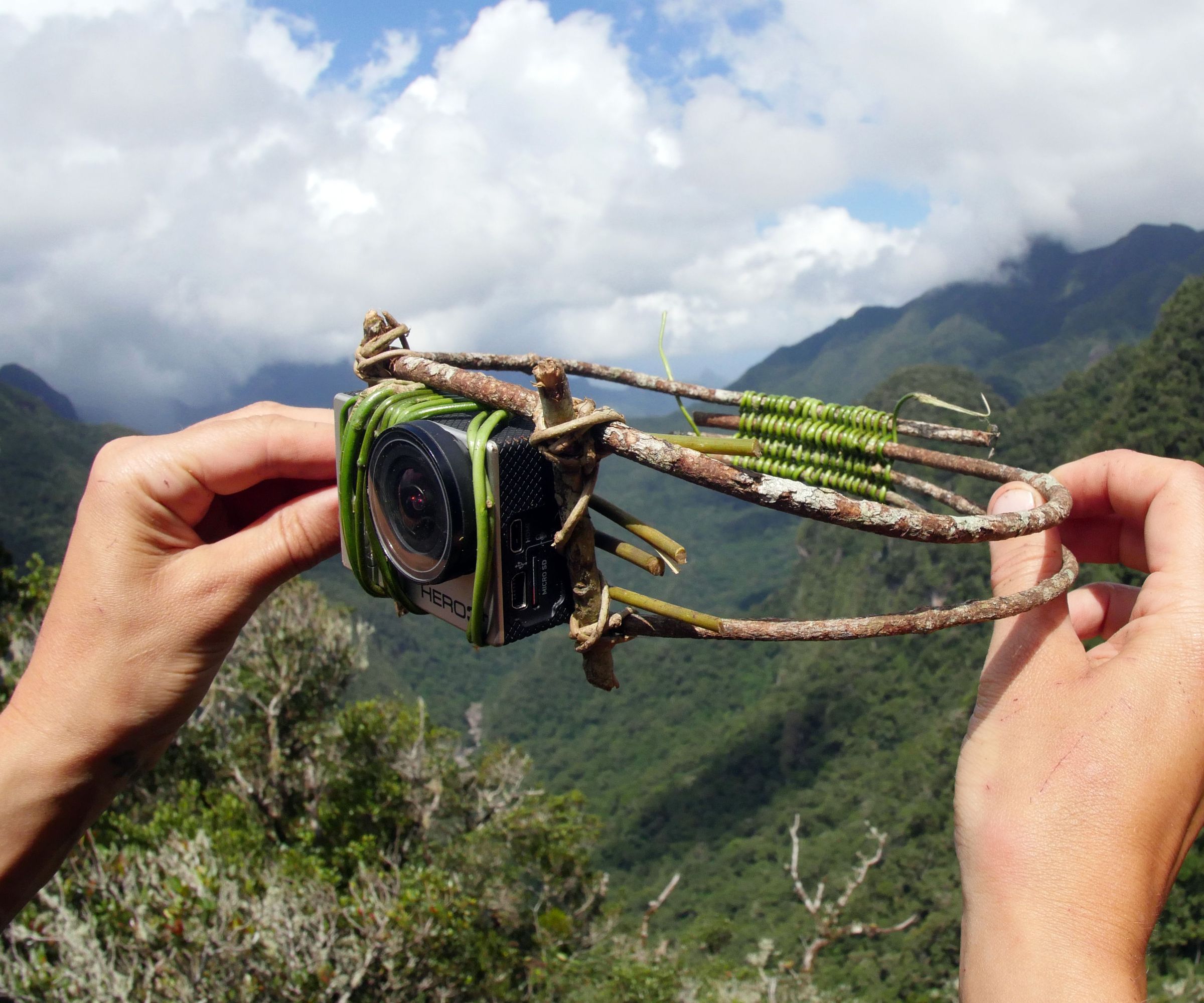 VinePro - Camera Head Mount