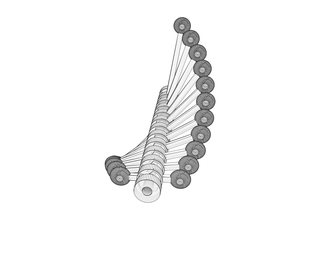 download {{ file.name }}