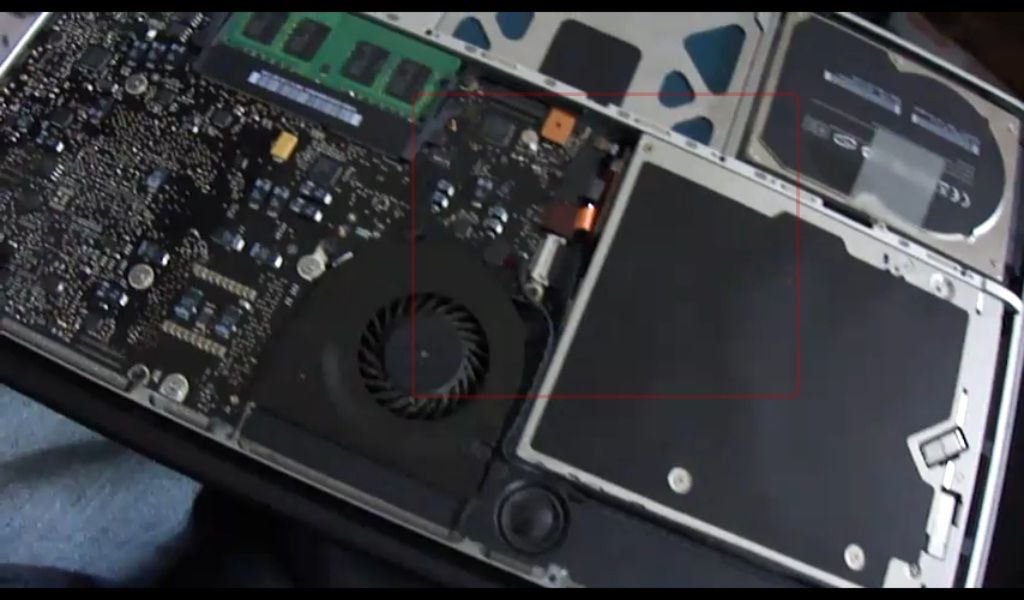 Repel ants from the mac book