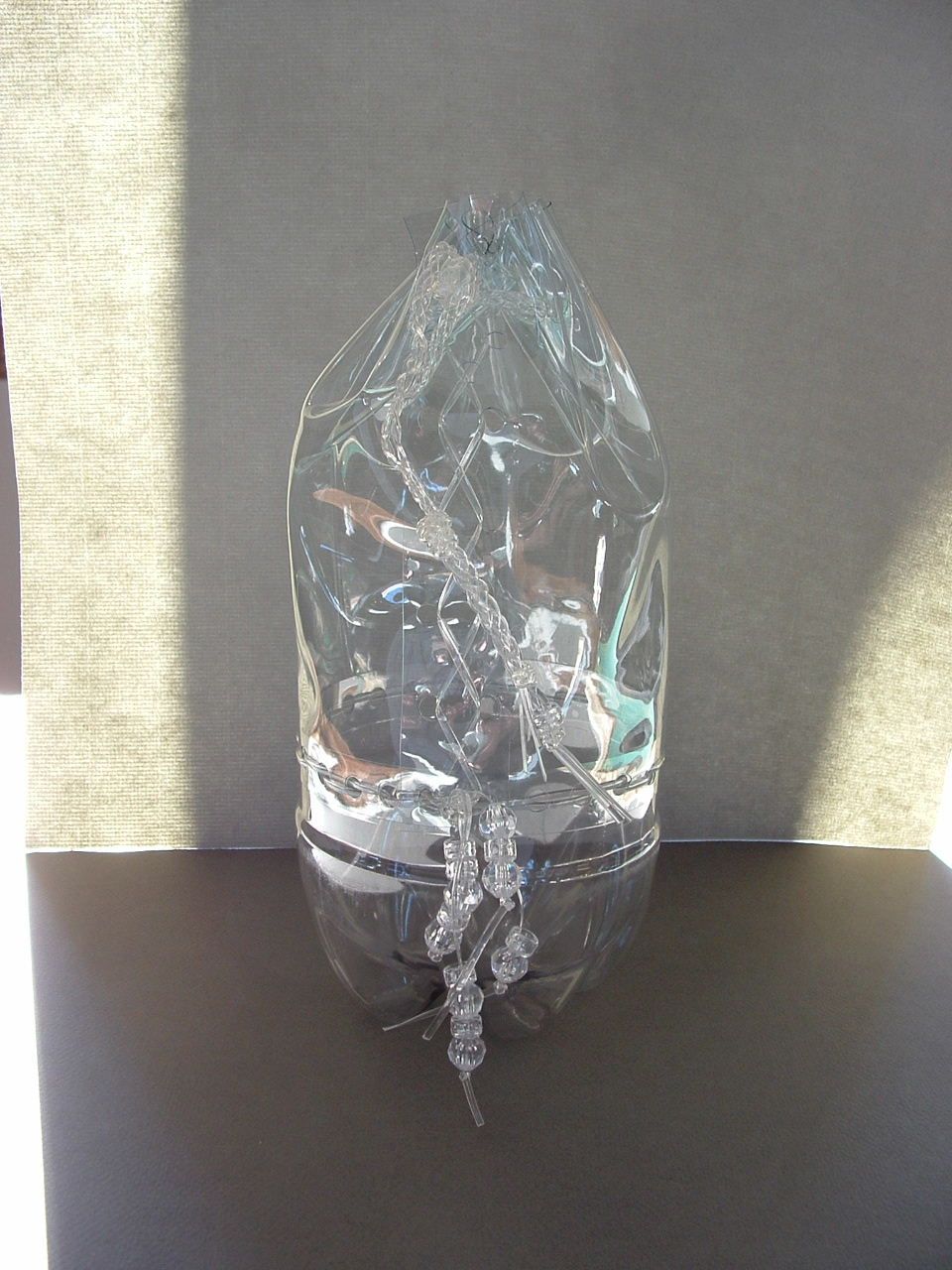 Clear Bottle Purse