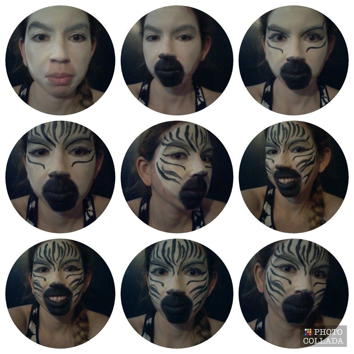 Zebra Face Paint Instructables