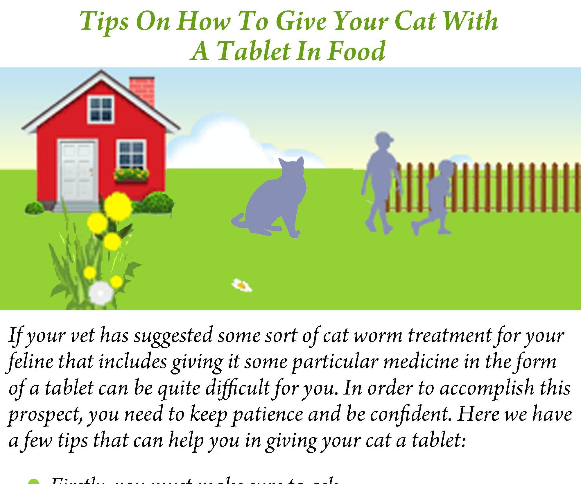 Tips on How to Give Your Cat With a Tablet in Food