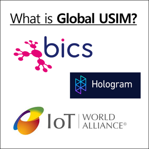 How to Use a Cat.M1 Connectivity Using Global USIM !