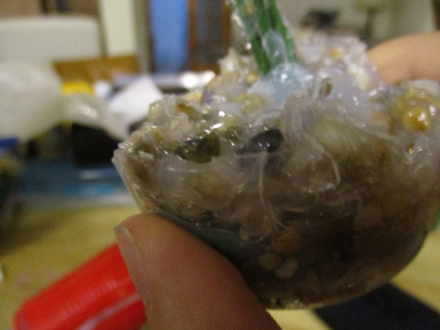 Fake Aquarium Plants 4 Steps (with Pictures) Instructables