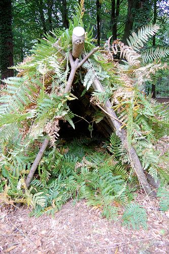 Build a Survival Shelter