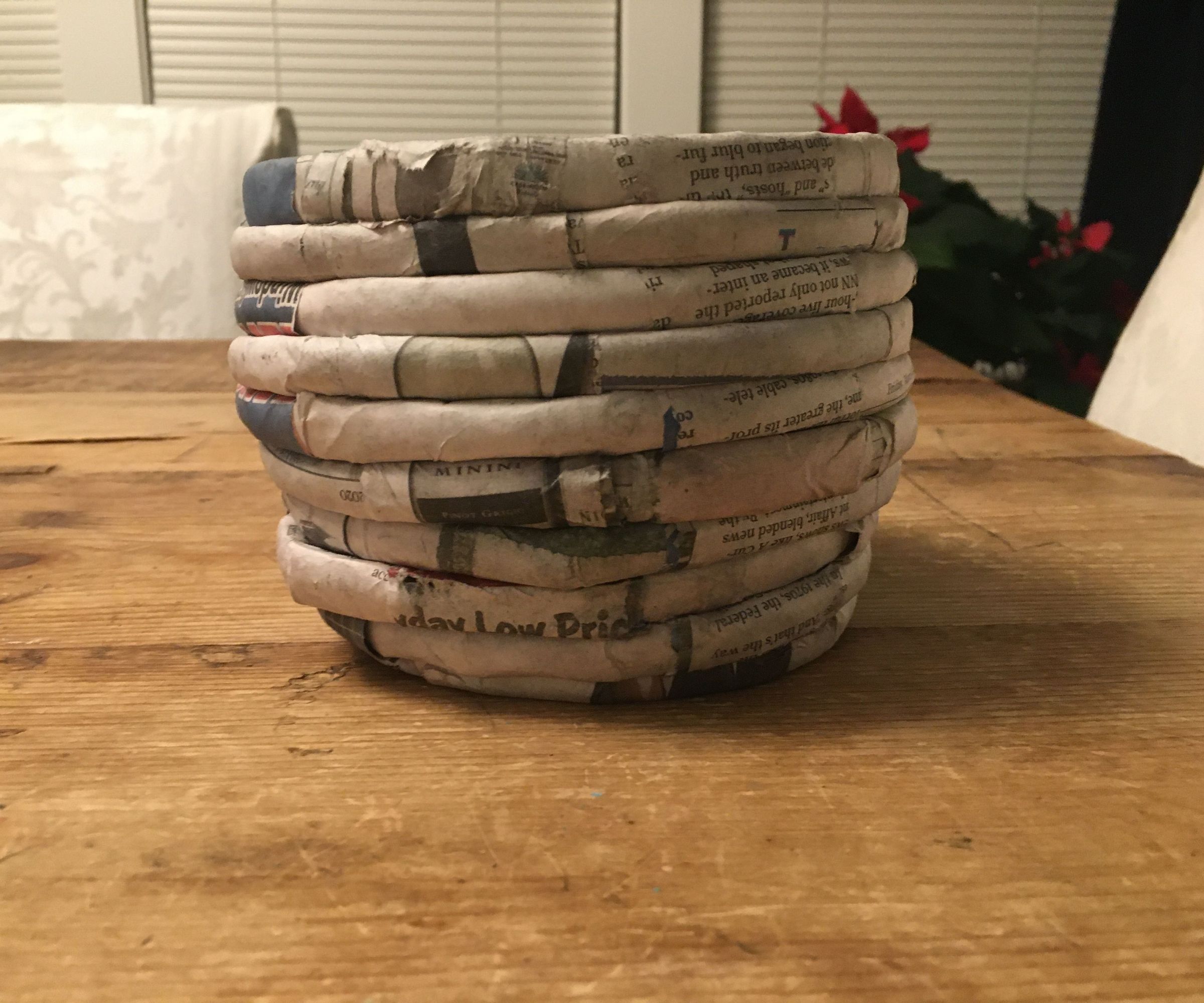 Paper Plant Pot