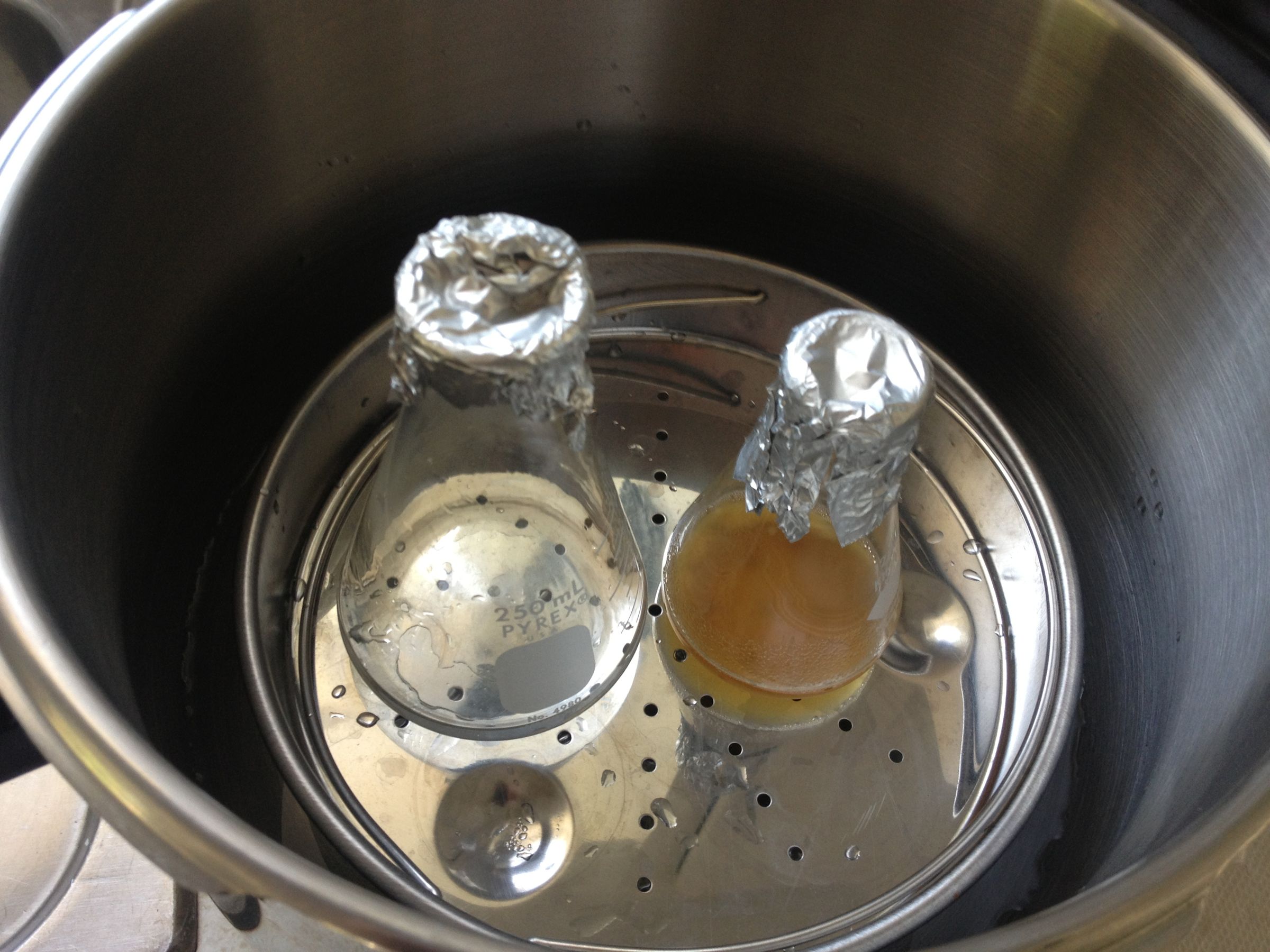 How to Make Solid Culture Medium Plates for Yeast Culture 8 Steps