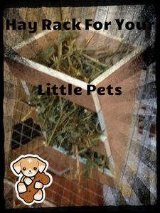 DIY Hay Rack for Little Pets : 6 Steps (with Pictures) - Instructables