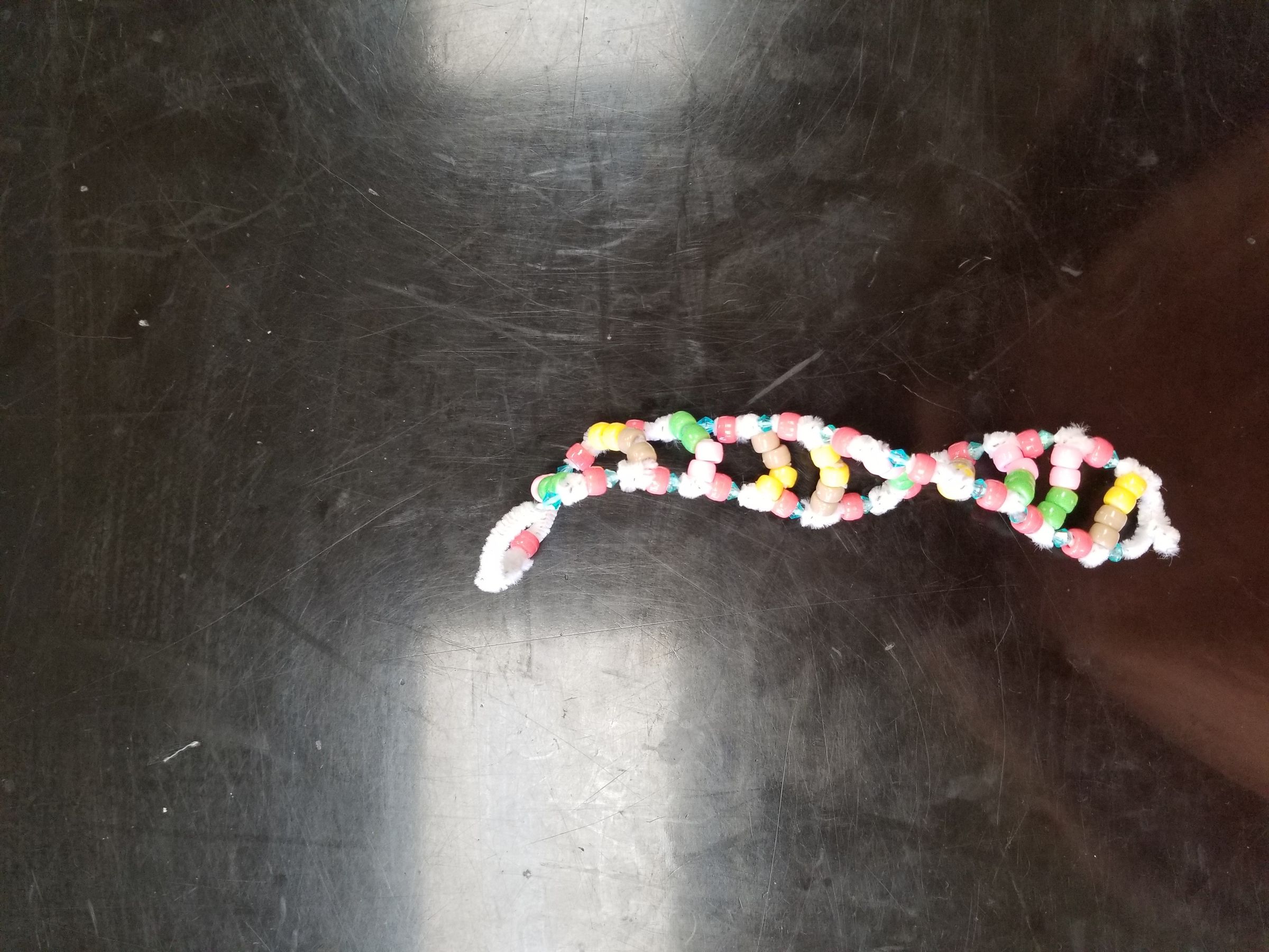 Dna Model Project With Pipe Cleaners