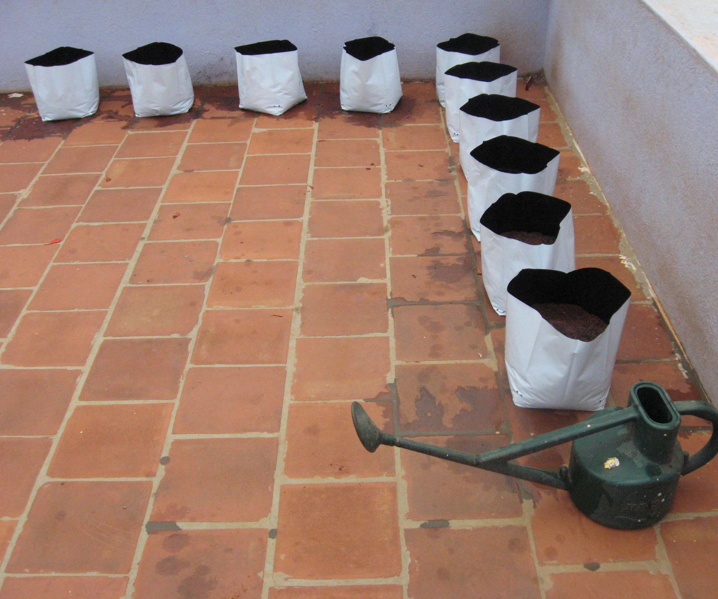 How to Start a Small-Space Garden